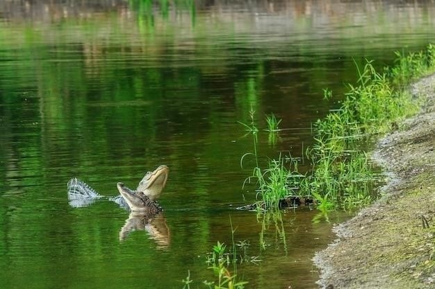 Почему дохнет рыба в пруду?