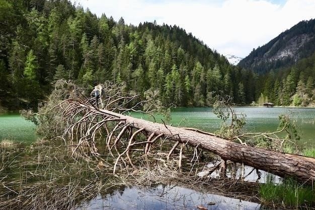 Происхождение названия реки Лена: от эвенкийских корней до народных легенд