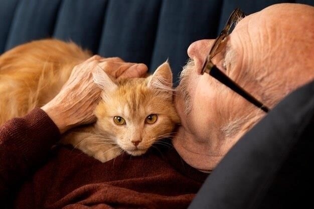 Почему нельзя стричь усы кошкам